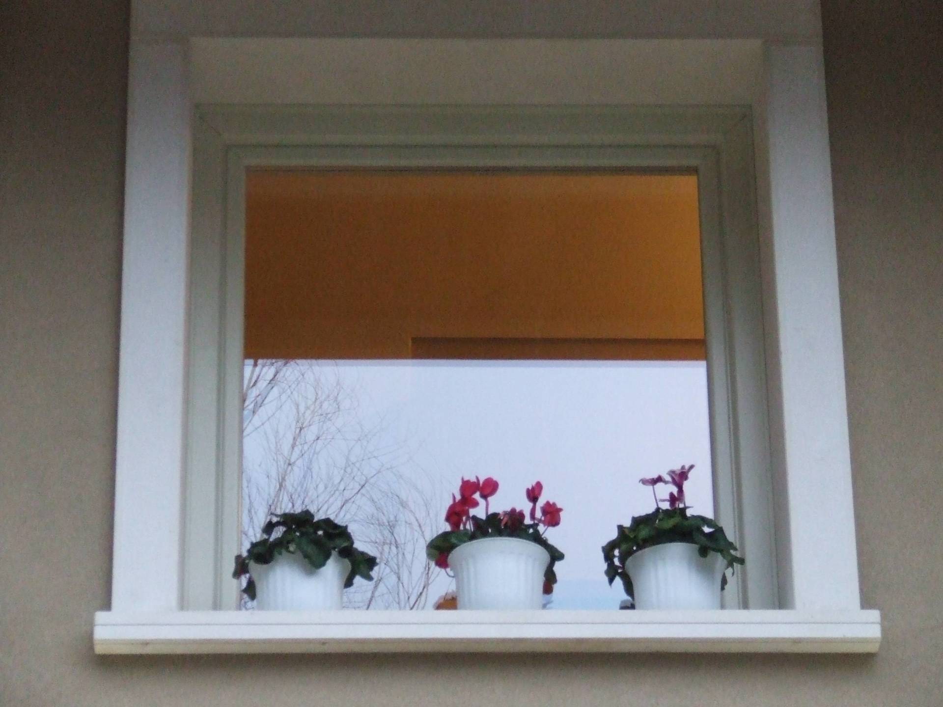 finestra in legno alluminio Coibent Line