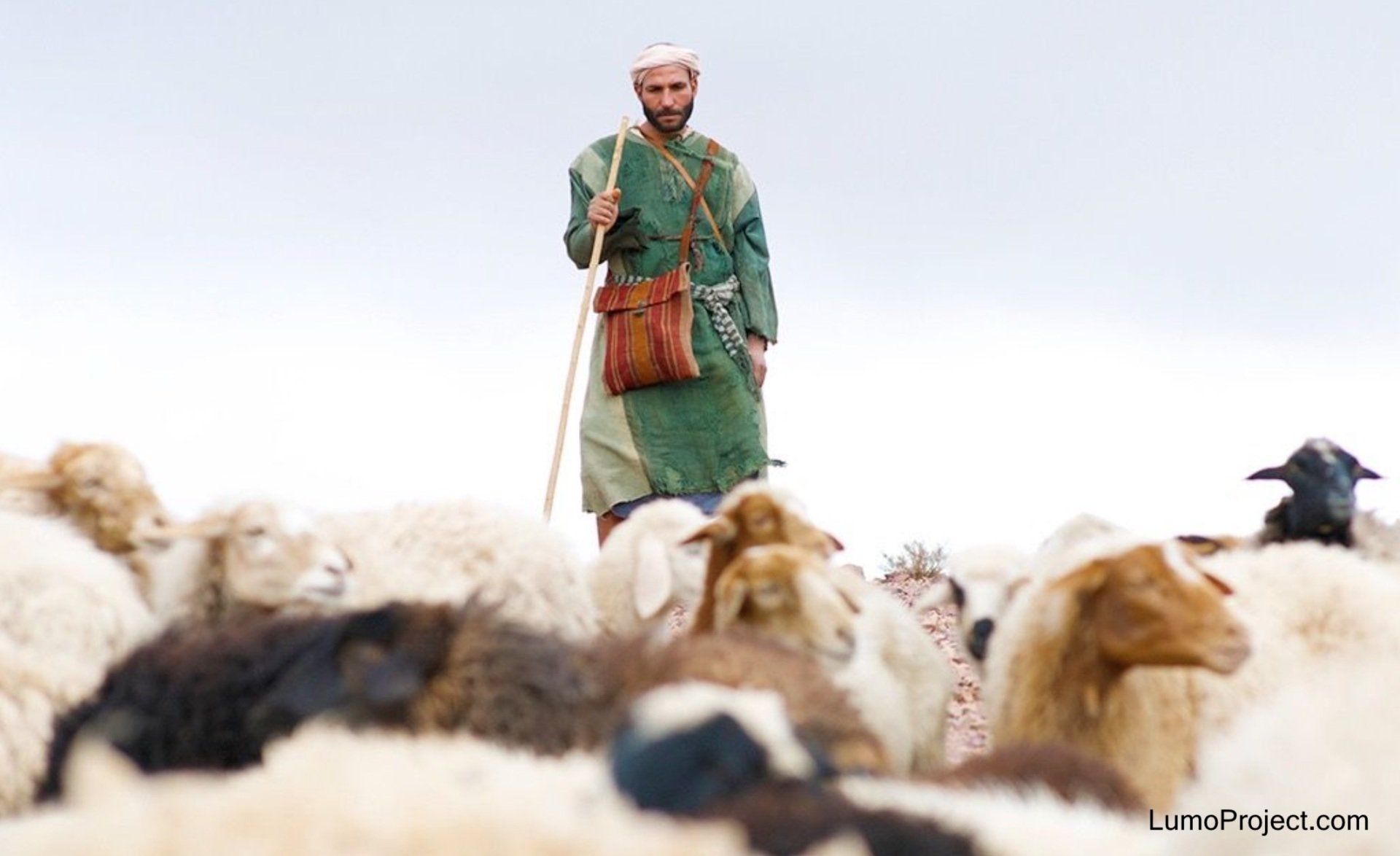 Case Study: Jesus as Shepherd Leader