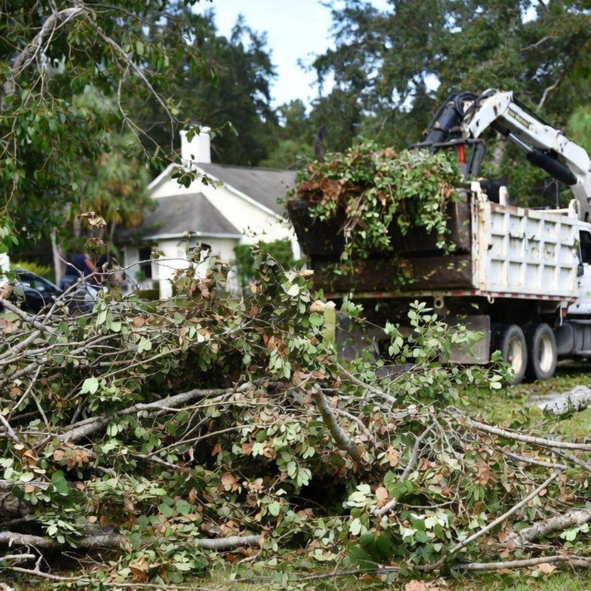 Truck loading tree debris in a yard with a house in the background.