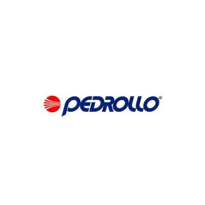 logo pedrollo