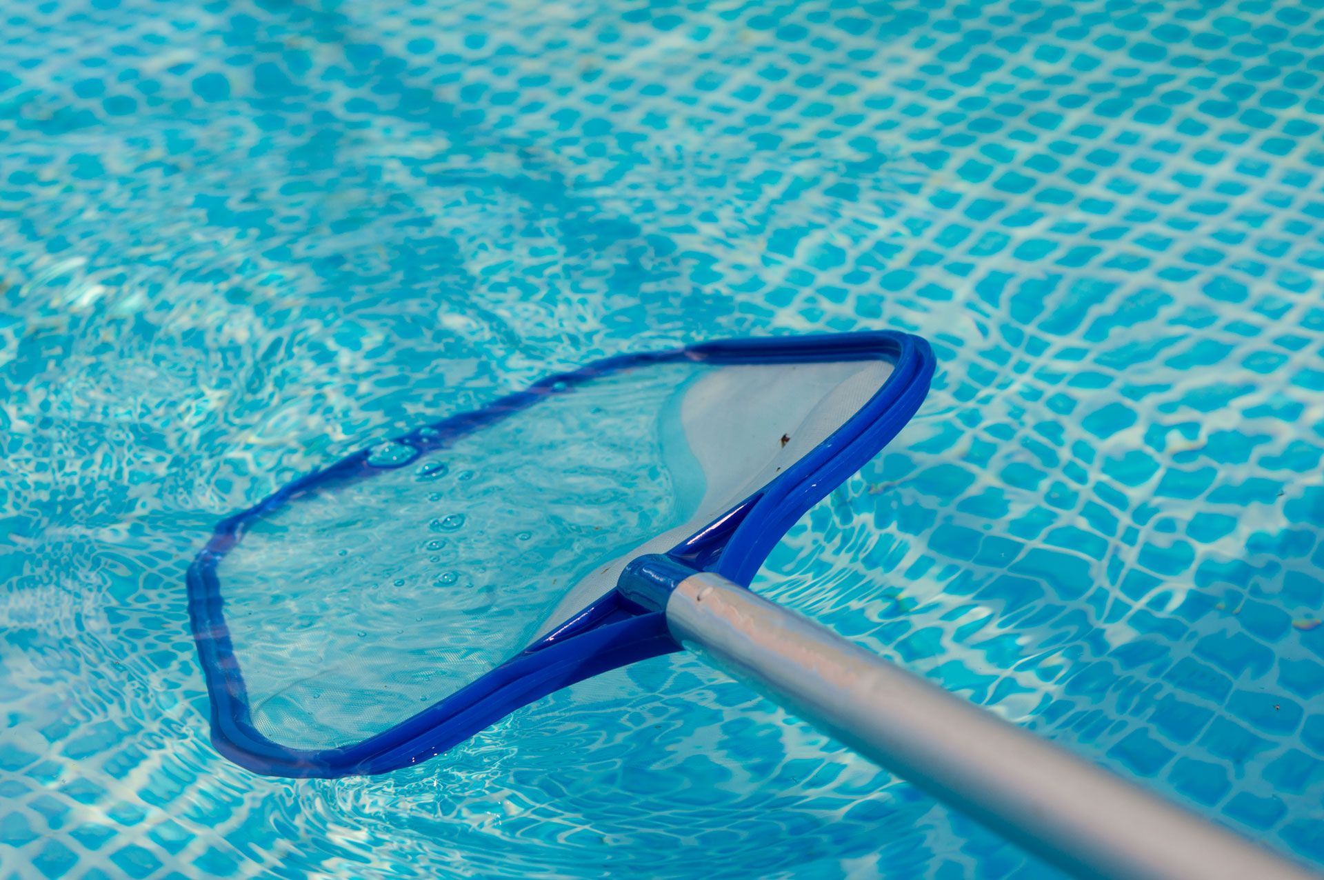 A person is cleaning a swimming pool with a net.