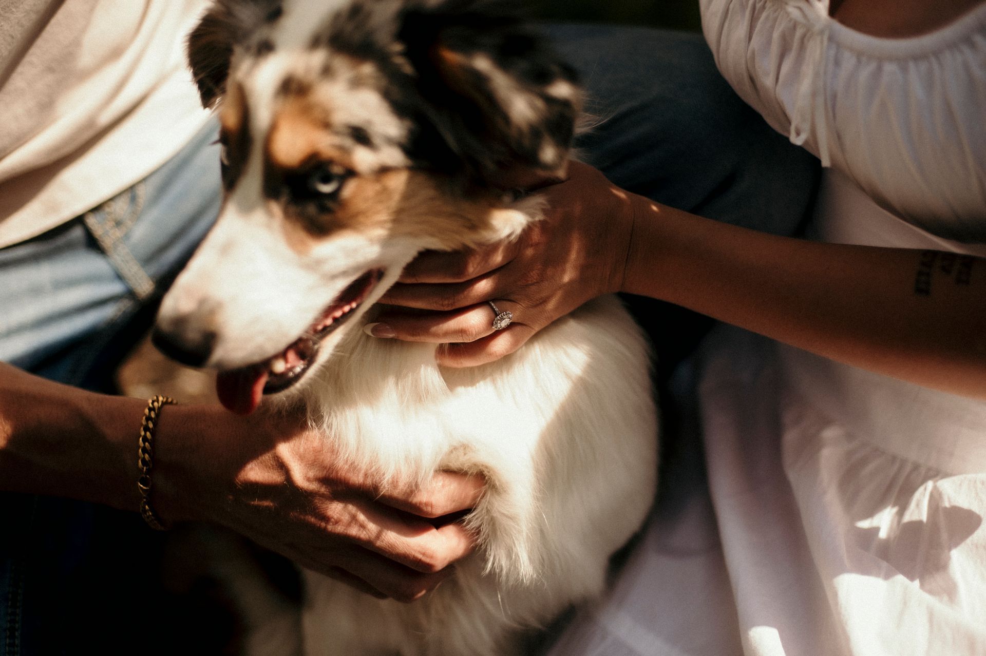 A man and a woman are holding a dog in their arms.