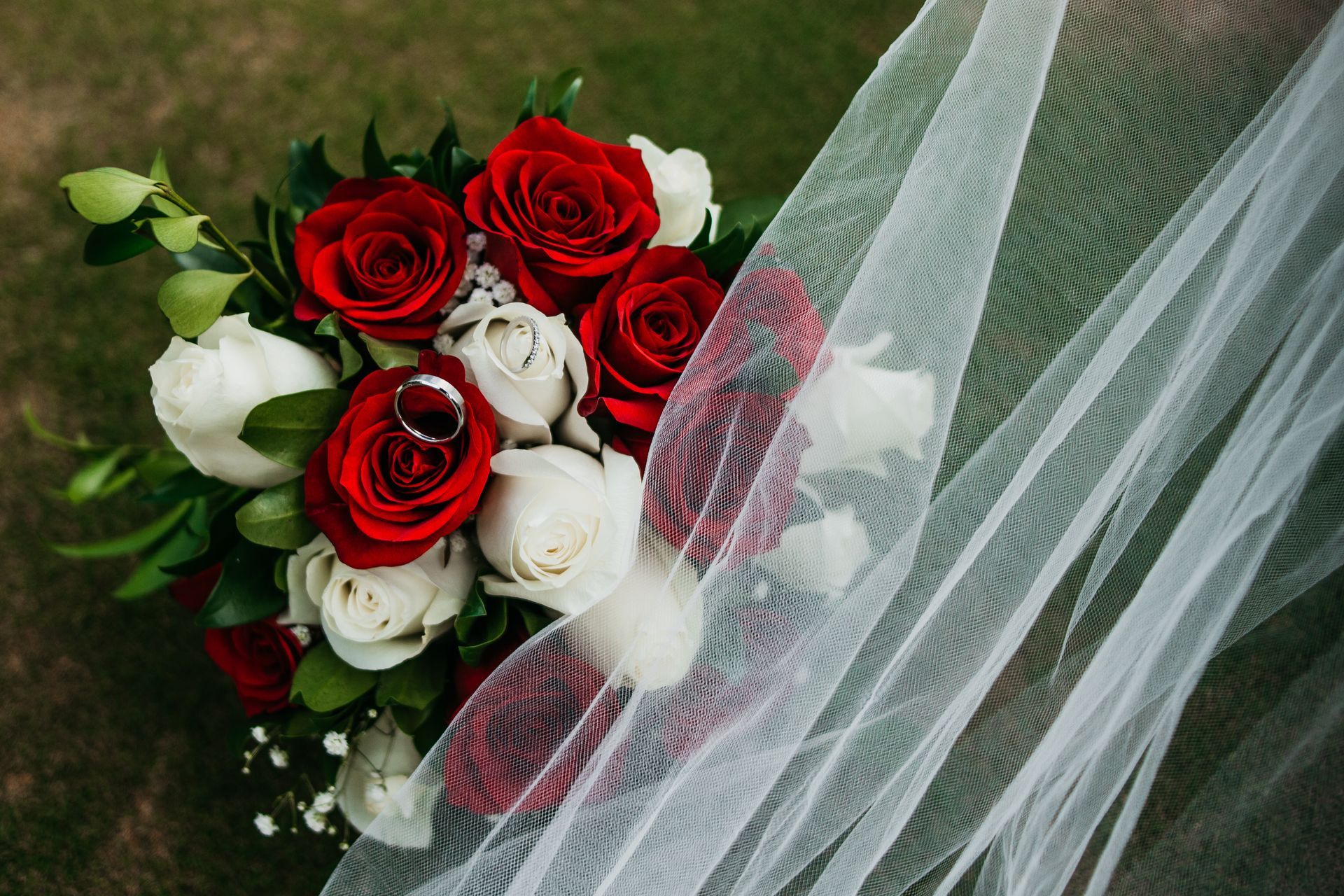 A bride 's veil is covering a bouquet of red and white roses.