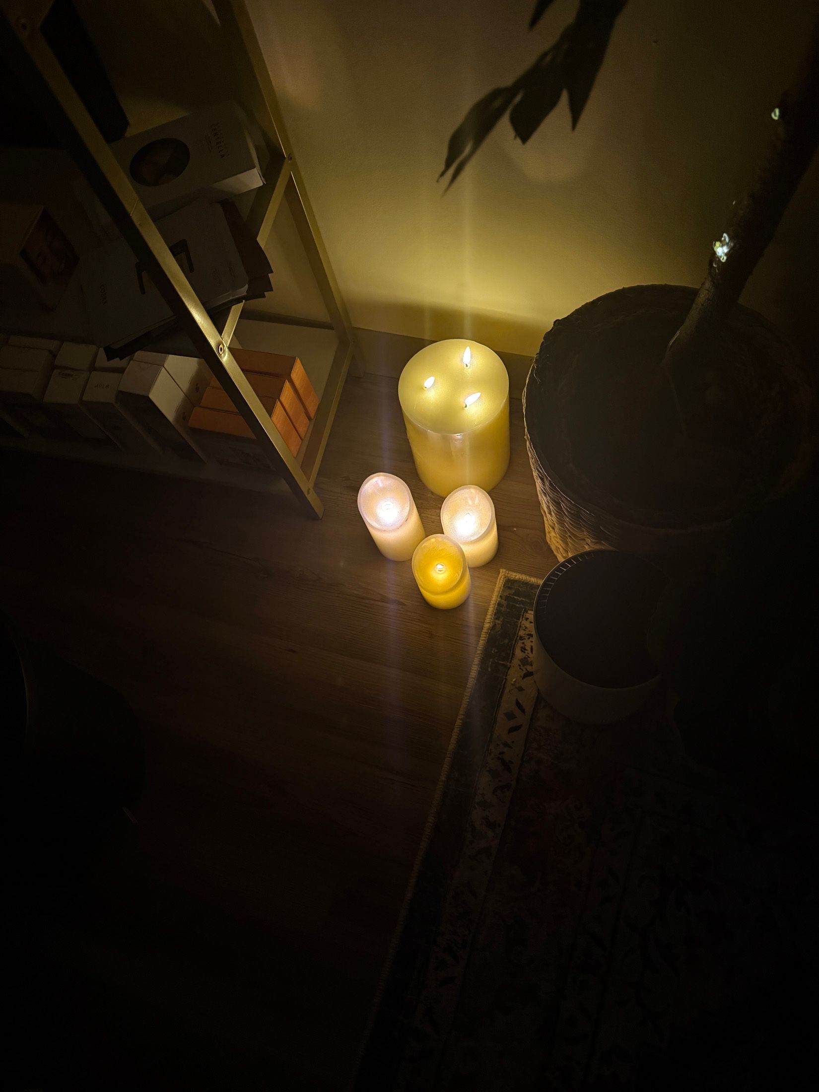 Candles glowing in a dimly lit room, with bookshelves and a plant visible nearby.