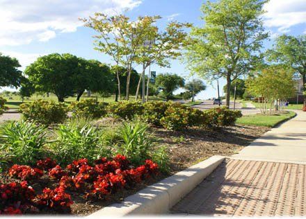 Commercial Landscaping — Denton, Texas — Southern Services Landscape and Irrigation