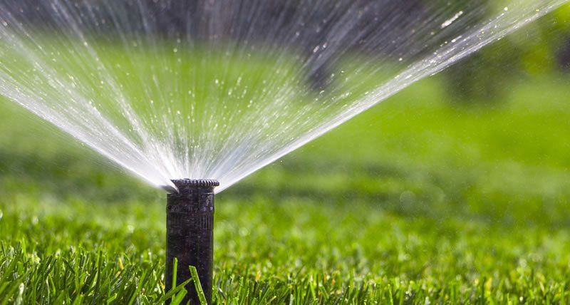 Sprinkler Head — Denton, Texas — Southern Services Landscape and Irrigation