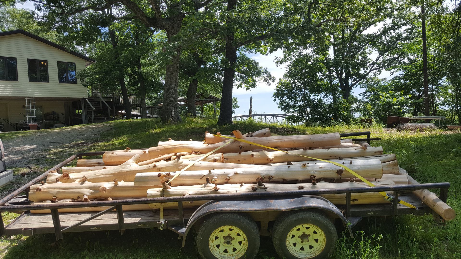 cedar logs in trailer bed