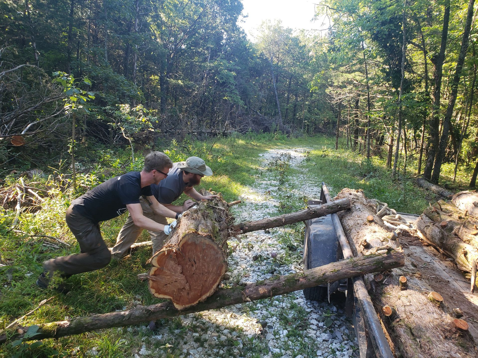 Snellen employees rolling a cedar log into a trailer bed.