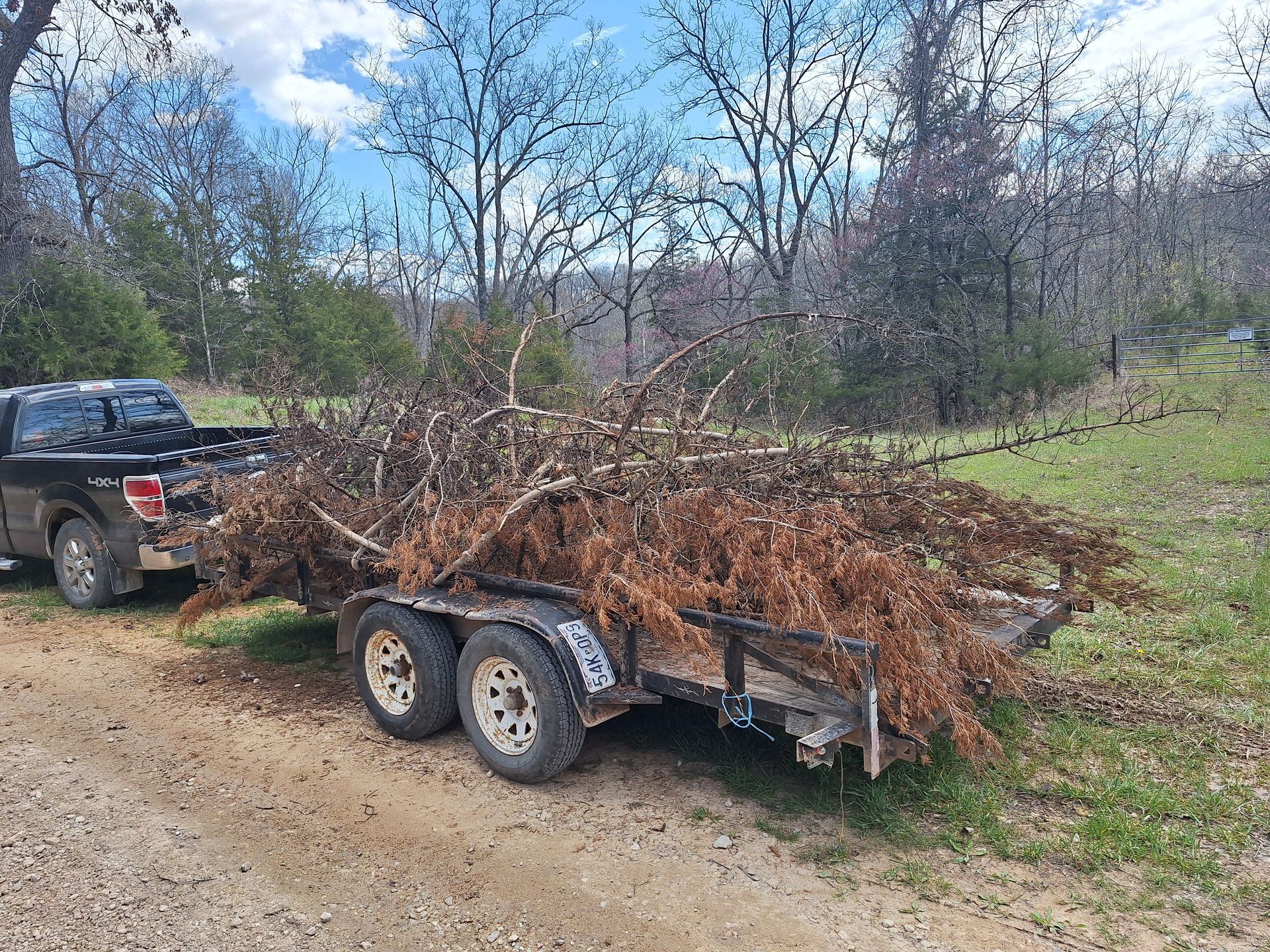 Truck bed of cedar crappie beds