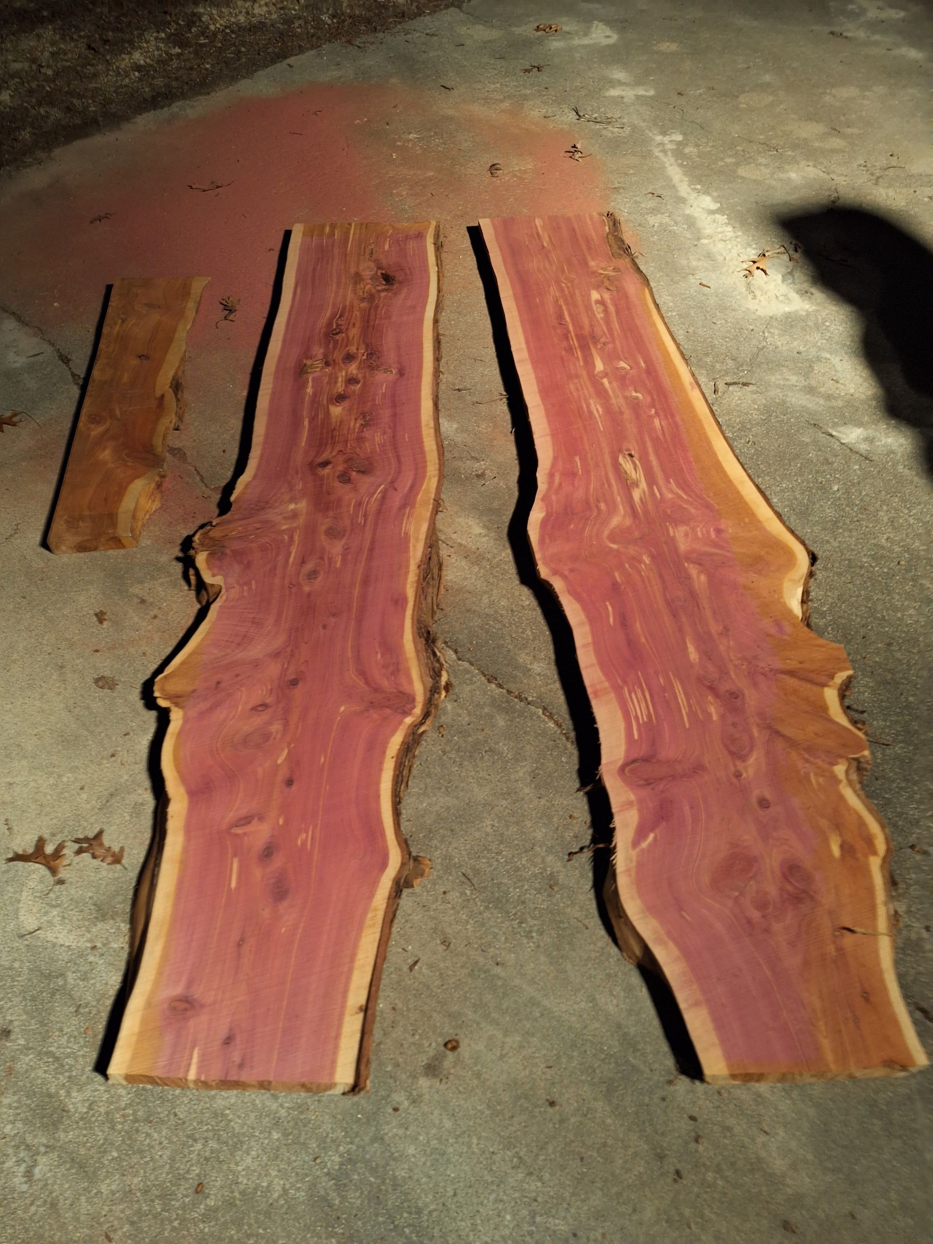cedar slabs to be made into bartops