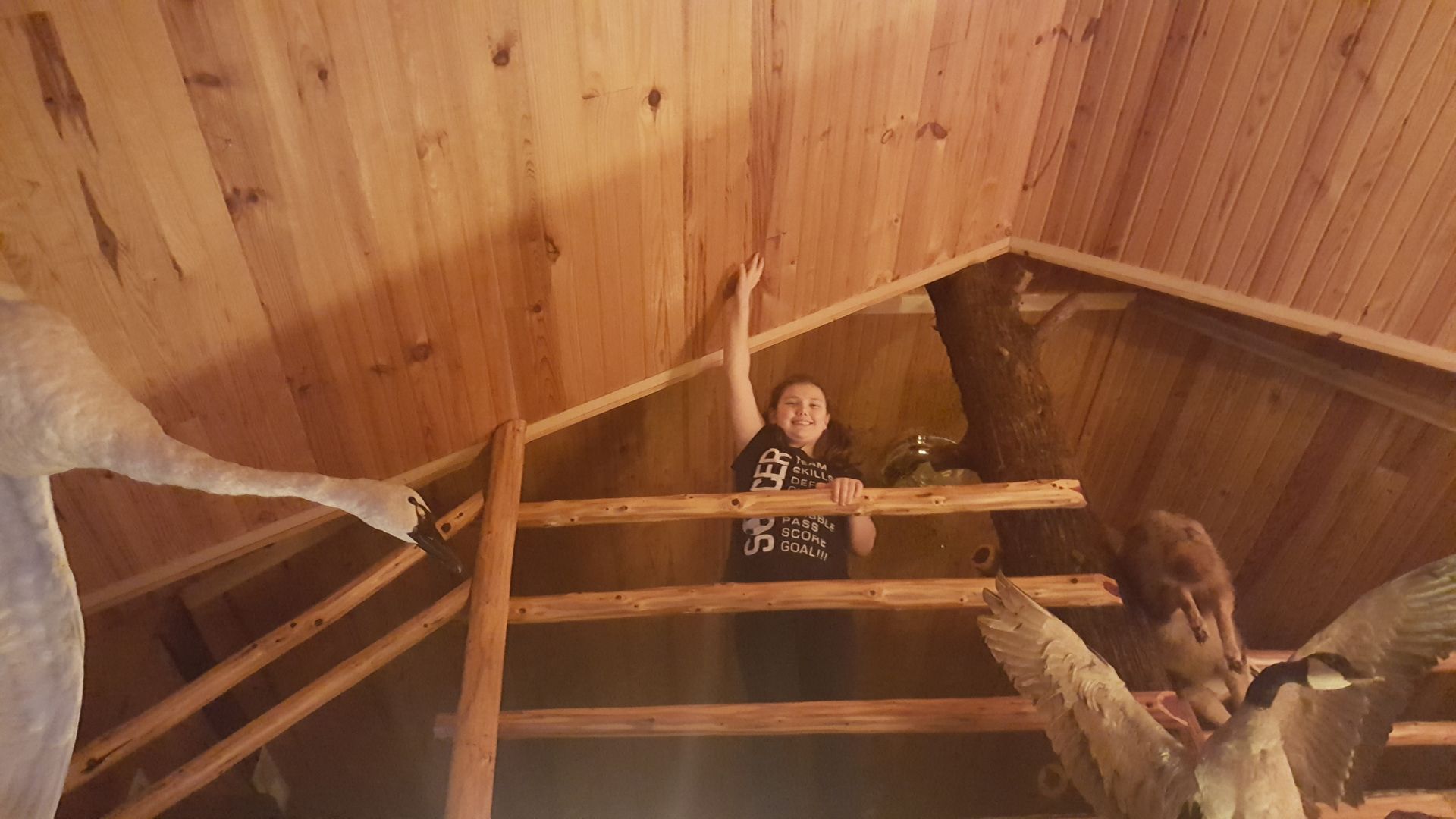Little girl touching cedar ceiling on cedar railing