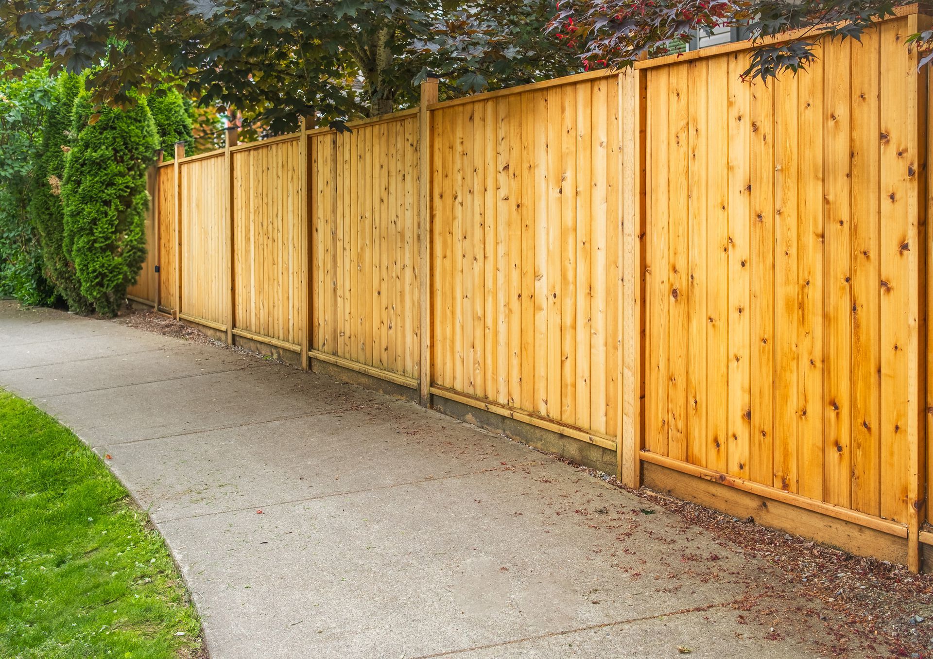 cedar panel fence