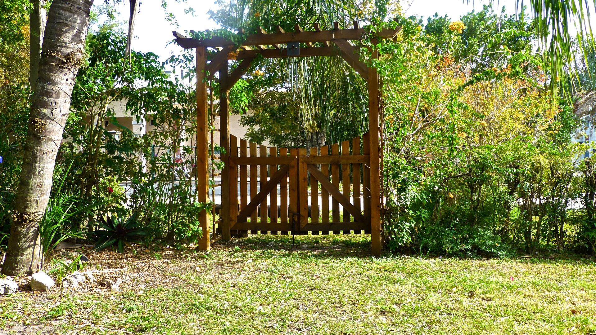 Cedar Pergola