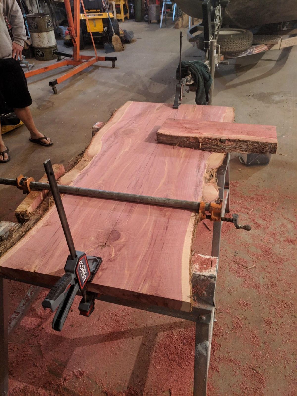 Custom Cedar slab being glued up