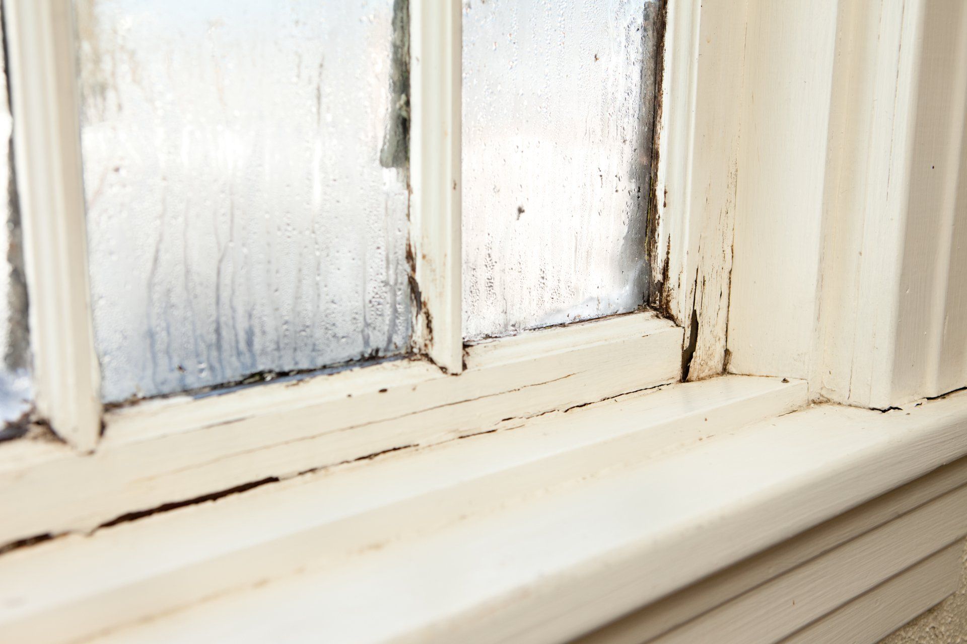 Molds in windows — Edgewood, MD — GEO Environmental Services