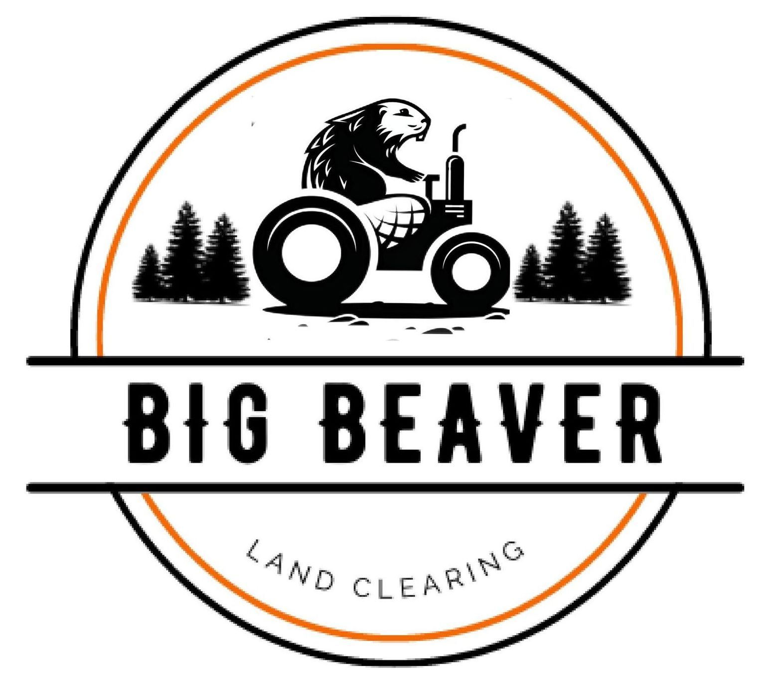 Tree Service in Lee Summit, MO | Big Beaver Tree Services