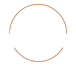 Tree Service in Lee Summit, MO | Big Beaver Tree Services