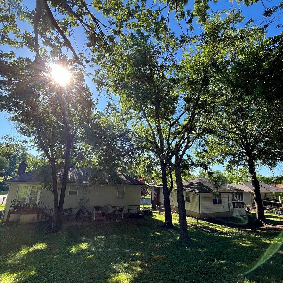 Tree Services in Lee Summit, MO