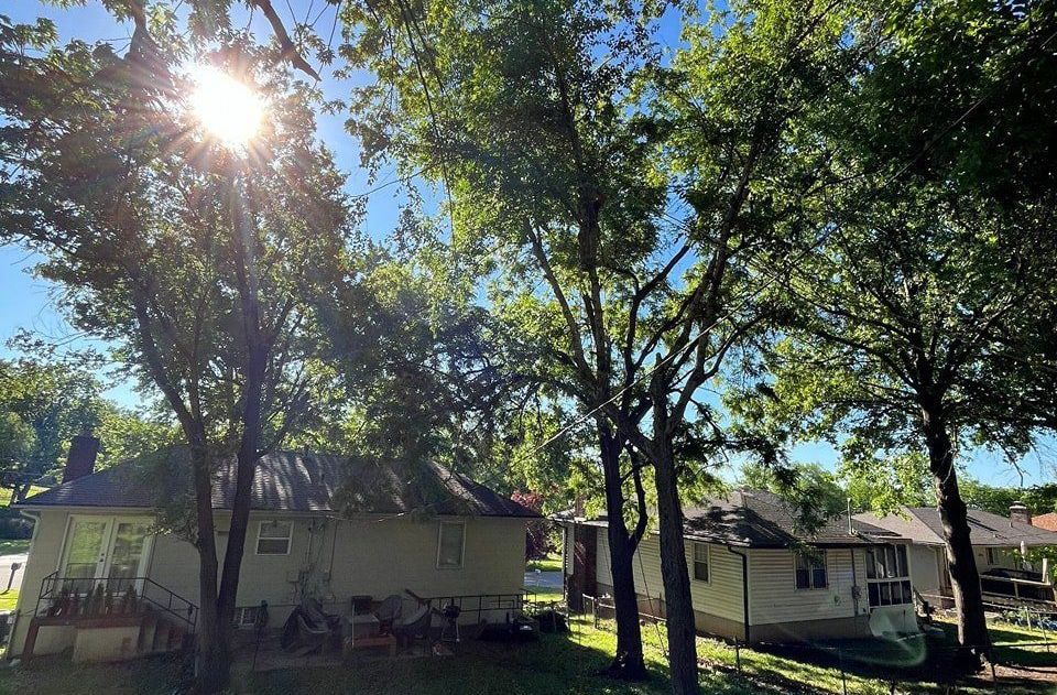 Tree Services in Lee Summit, MO