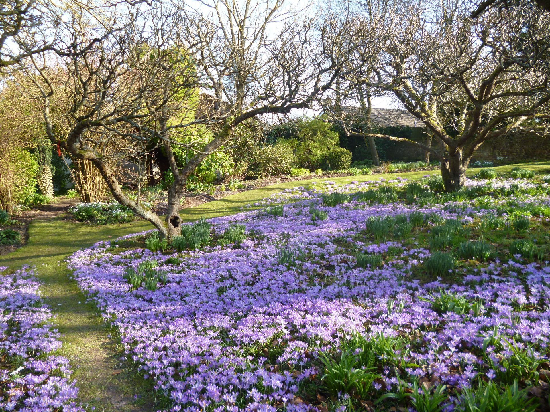 boxwood tours garden holidays