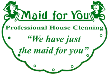 Professional Cleaning Virginia Beach Va Maid For You