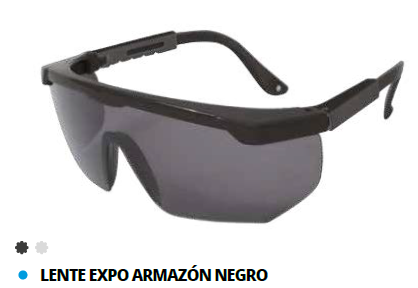 LENTE EXPO ARMAZON NEGRO MICA GRIS