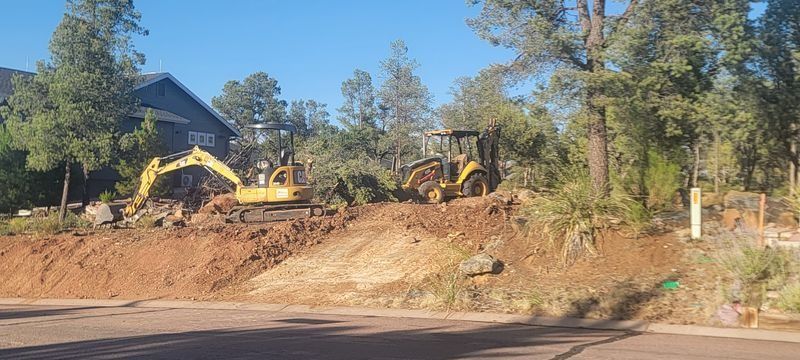Yellow excavators grading a dirt slope beside a road in a wooded area