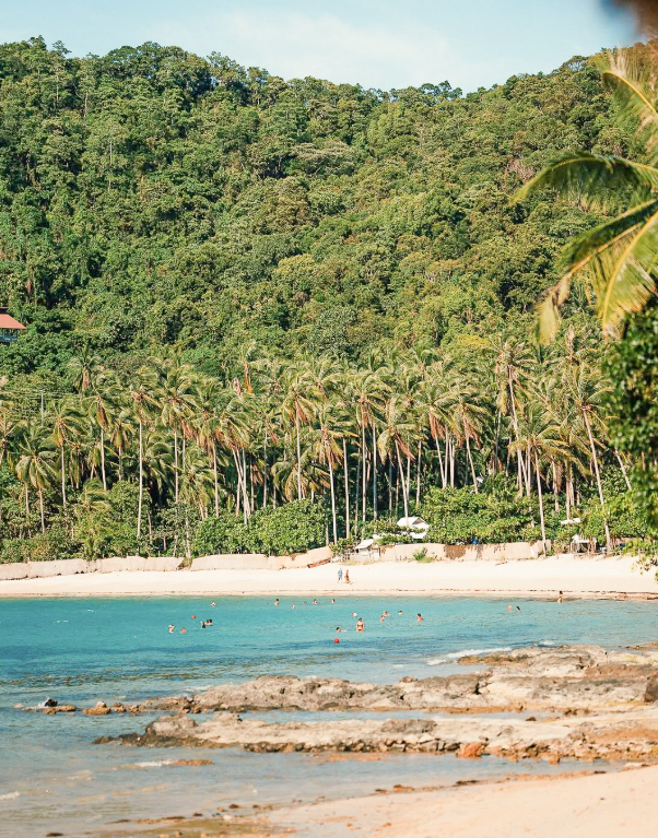Palm-lined white sand beach at one of El Nido Palawan's luxury resorts with clear turquoise waters
