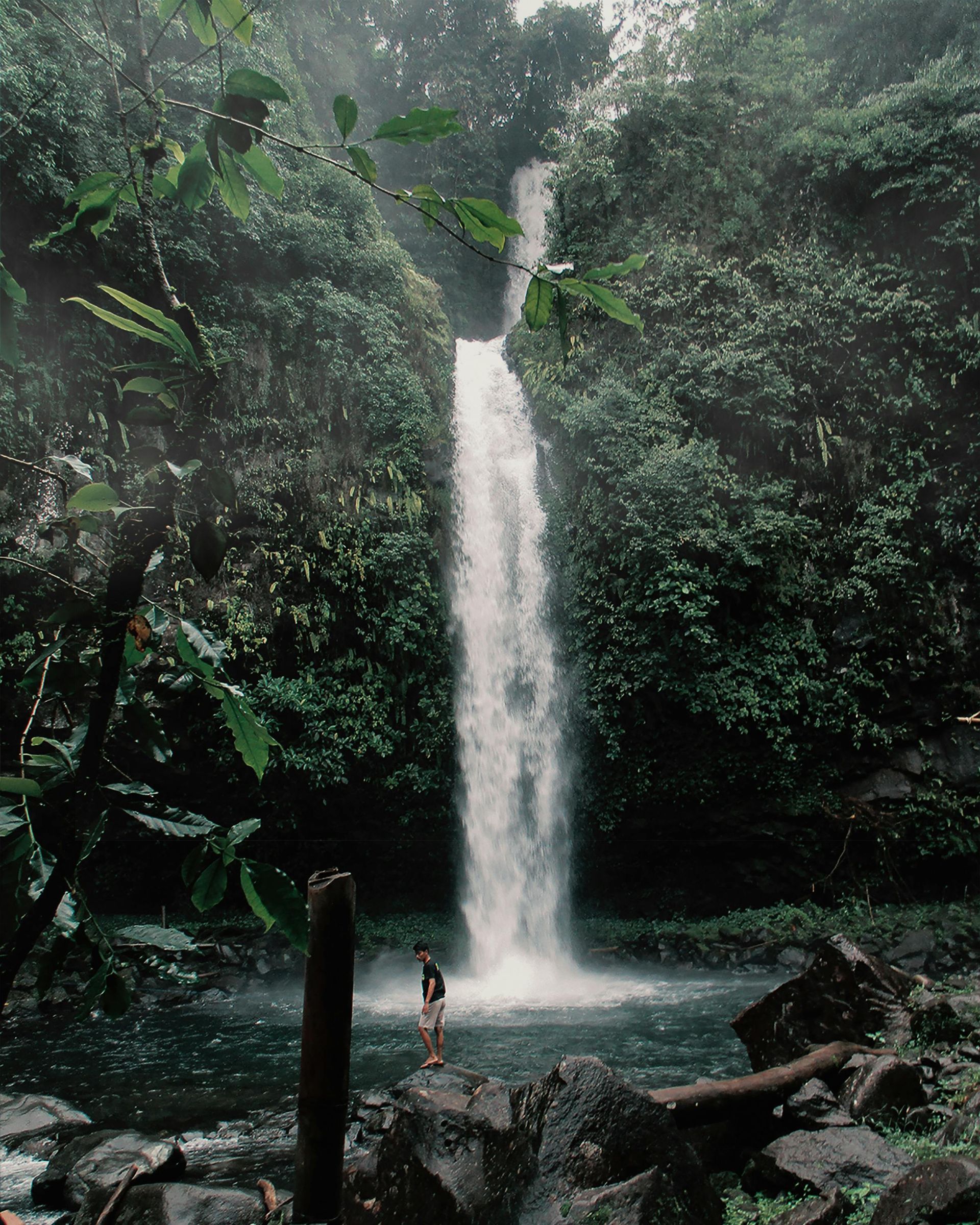 Waterfall cascading into a pool. Person standing on a rock. Lush green foliage surrounds.