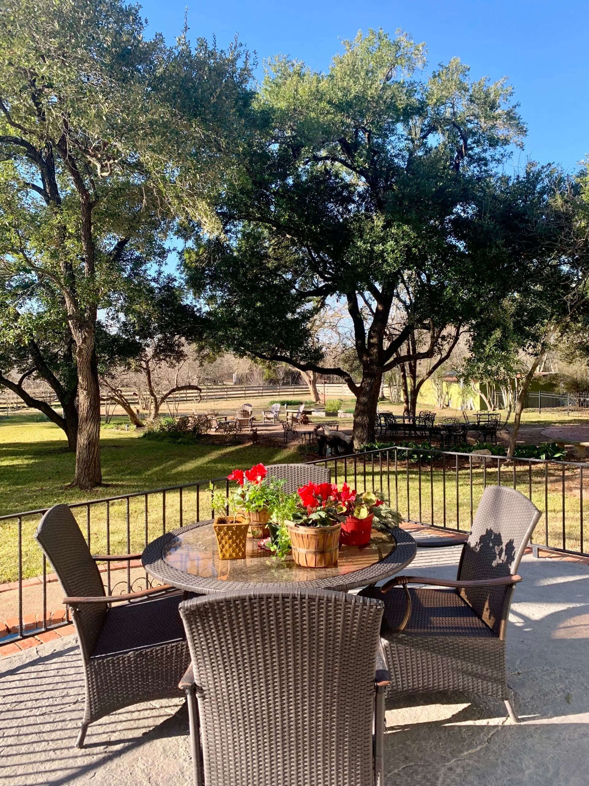 A table and chairs on a patio with trees in the background.