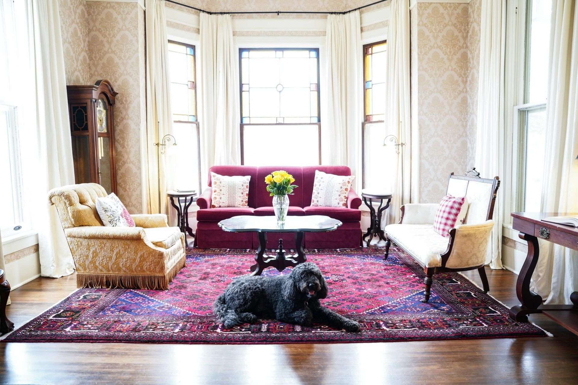 A black dog is laying on a rug in a living room.