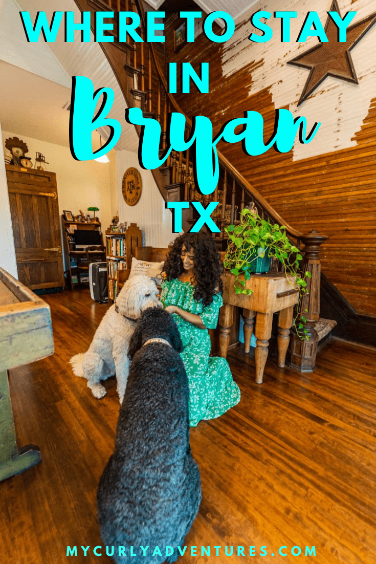 A woman is sitting in a living room with two dogs.