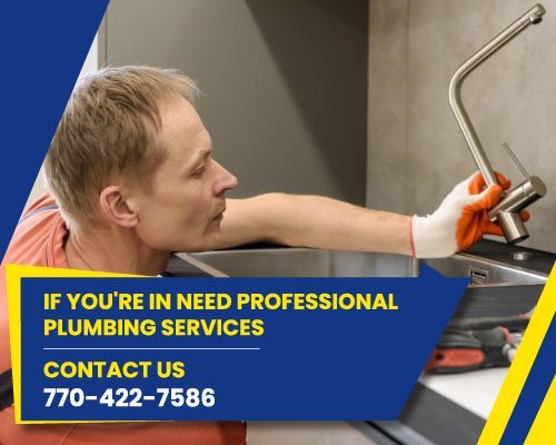 professional plumbing services