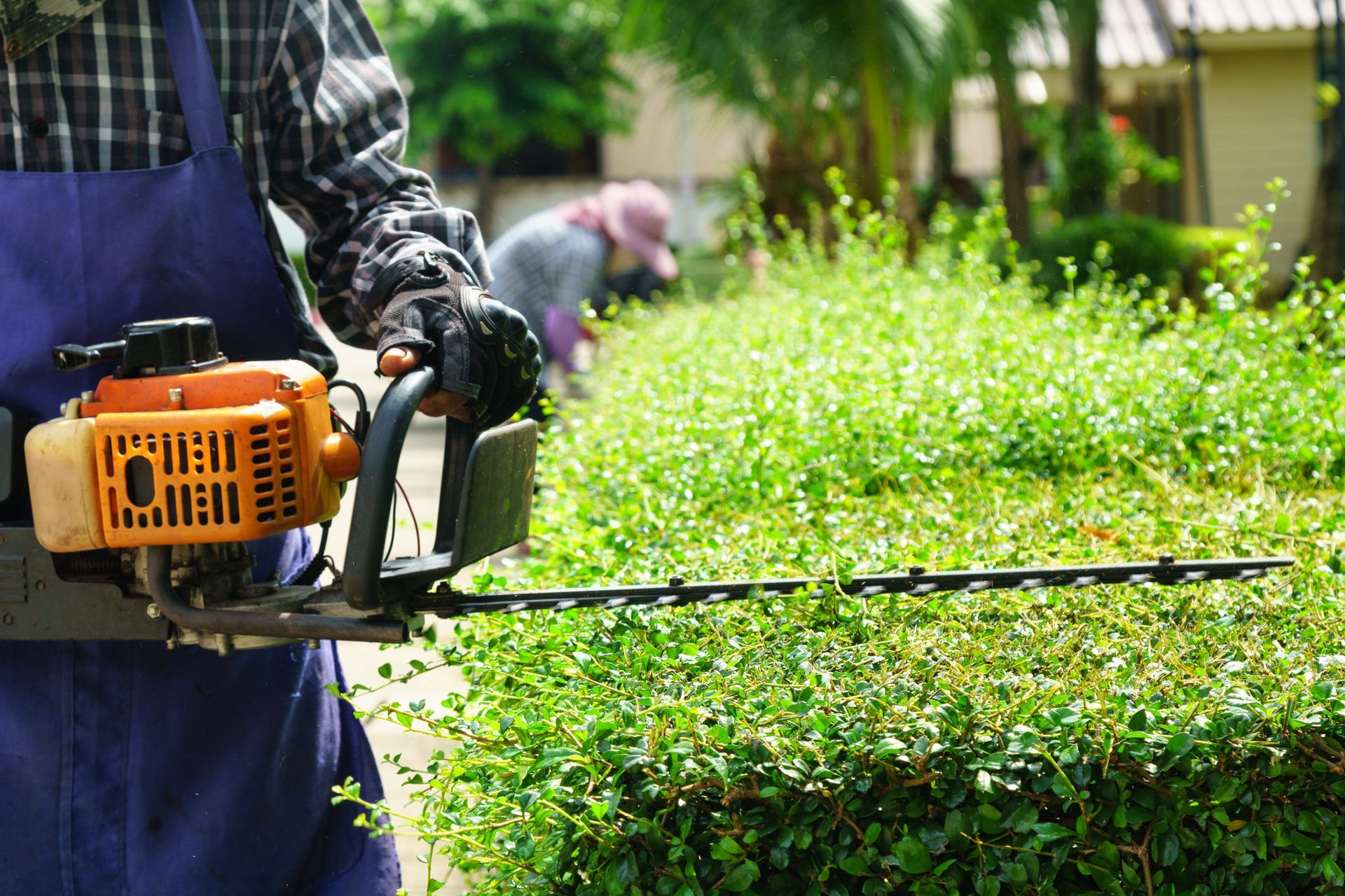 Person using hedge trimmer on a green bush; another person works in the background.