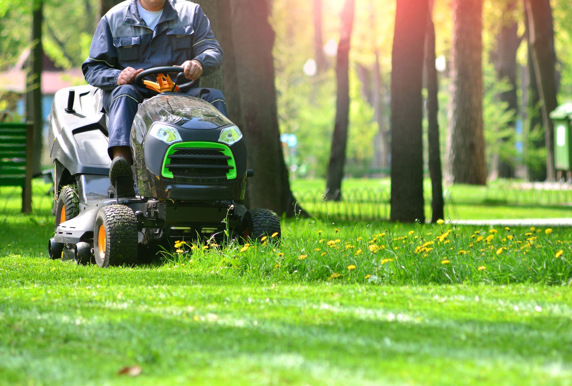 Person on a riding lawnmower mowing grass in a sunny park setting.