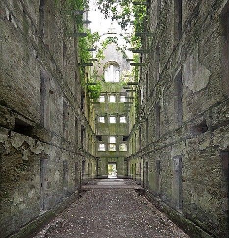 Interior of an old stone building with many windows and overgrown vegetation, looking towards an open door.