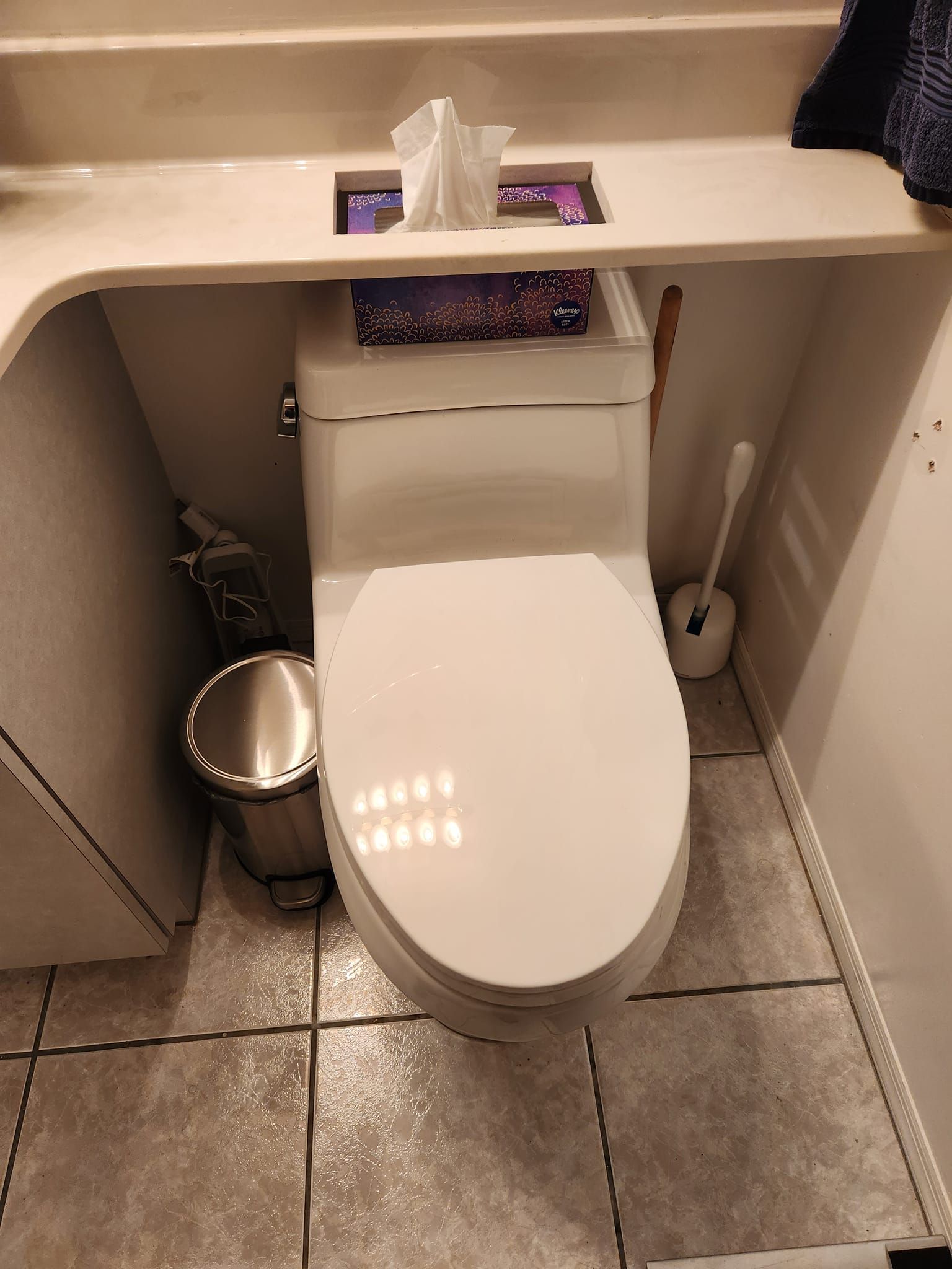 A white toilet sits in a small bathroom stall, with a tissue box on its tank, a small metal trash bin, and a brush.