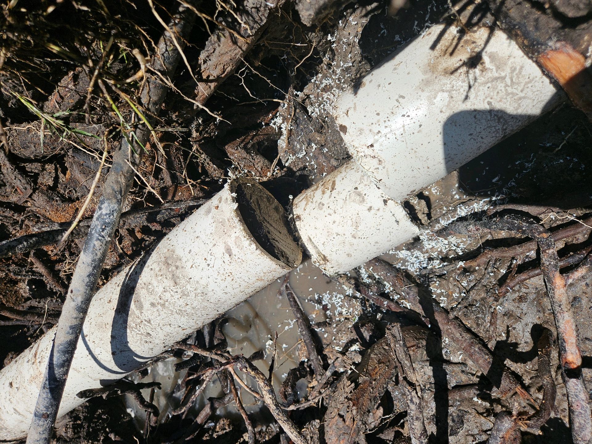 A broken white PVC pipe lying in muddy soil surrounded by tree roots.
