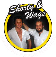 Shorty & Wags Wings