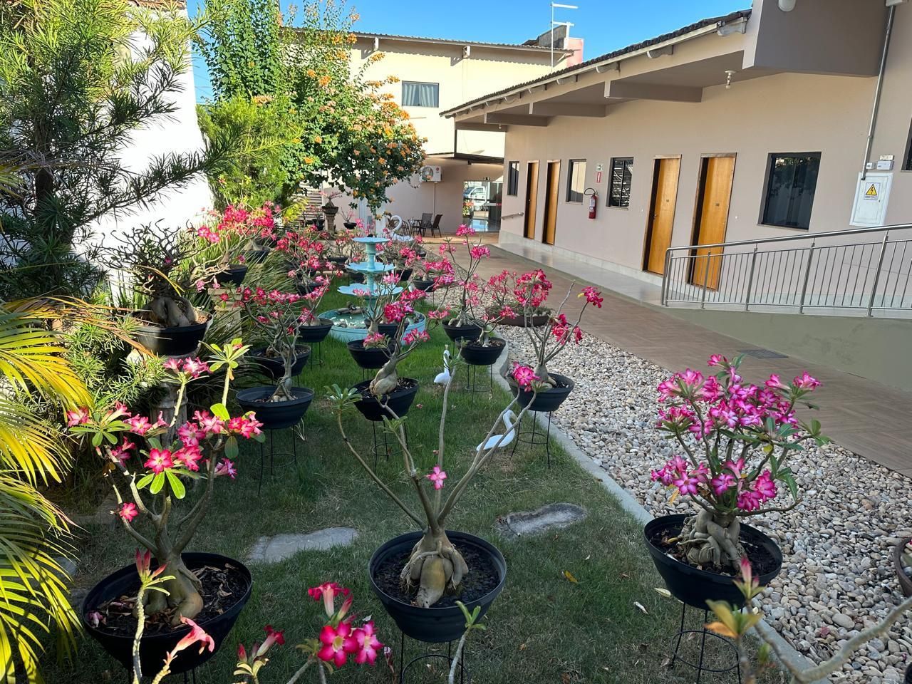 Vasos de plantas floridas alinham-se ao longo de um caminho gramado ao lado de um prédio com portas de madeira