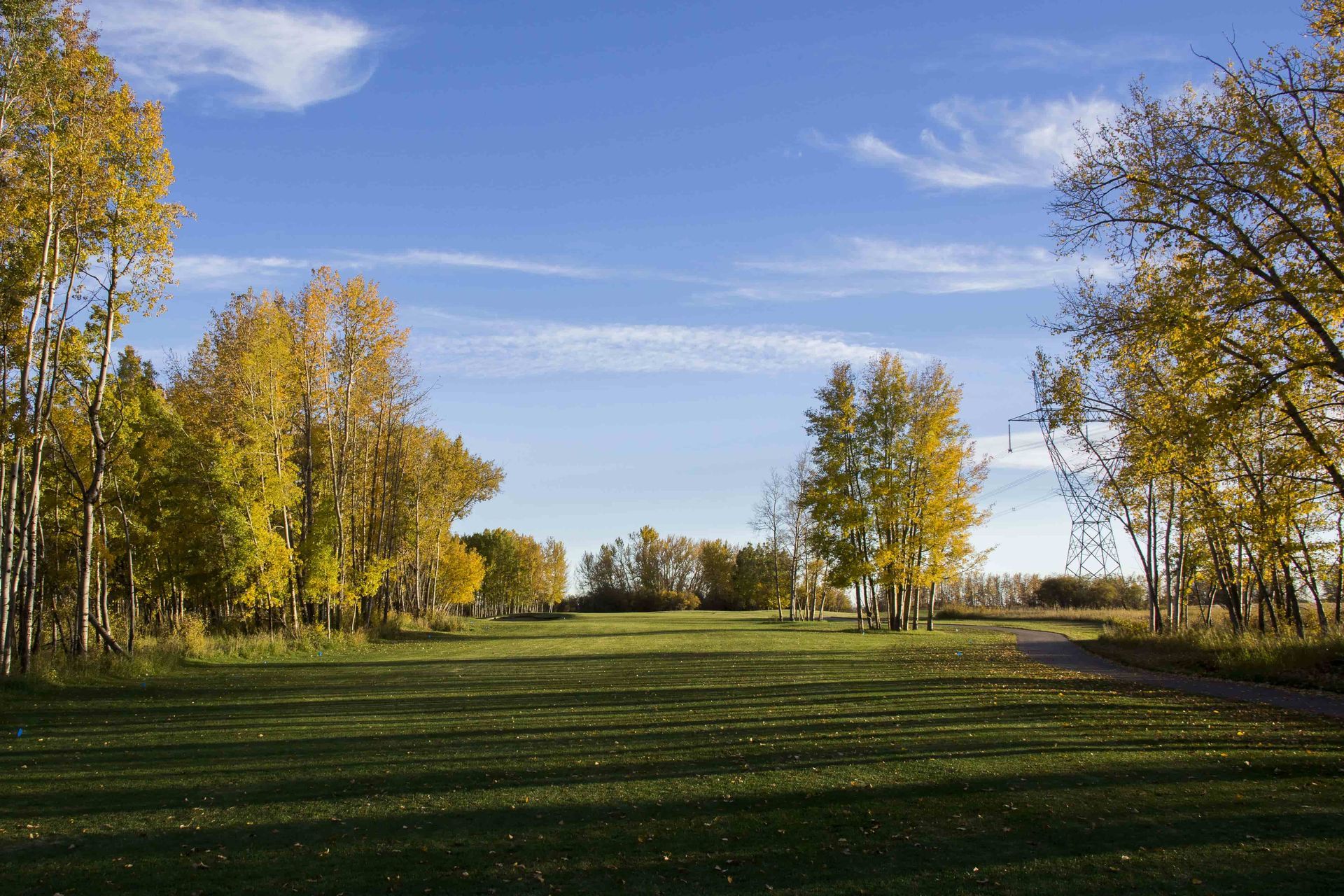Vast green field surrounded by trees with yellow leaves under a blue sky, autumn landscape.