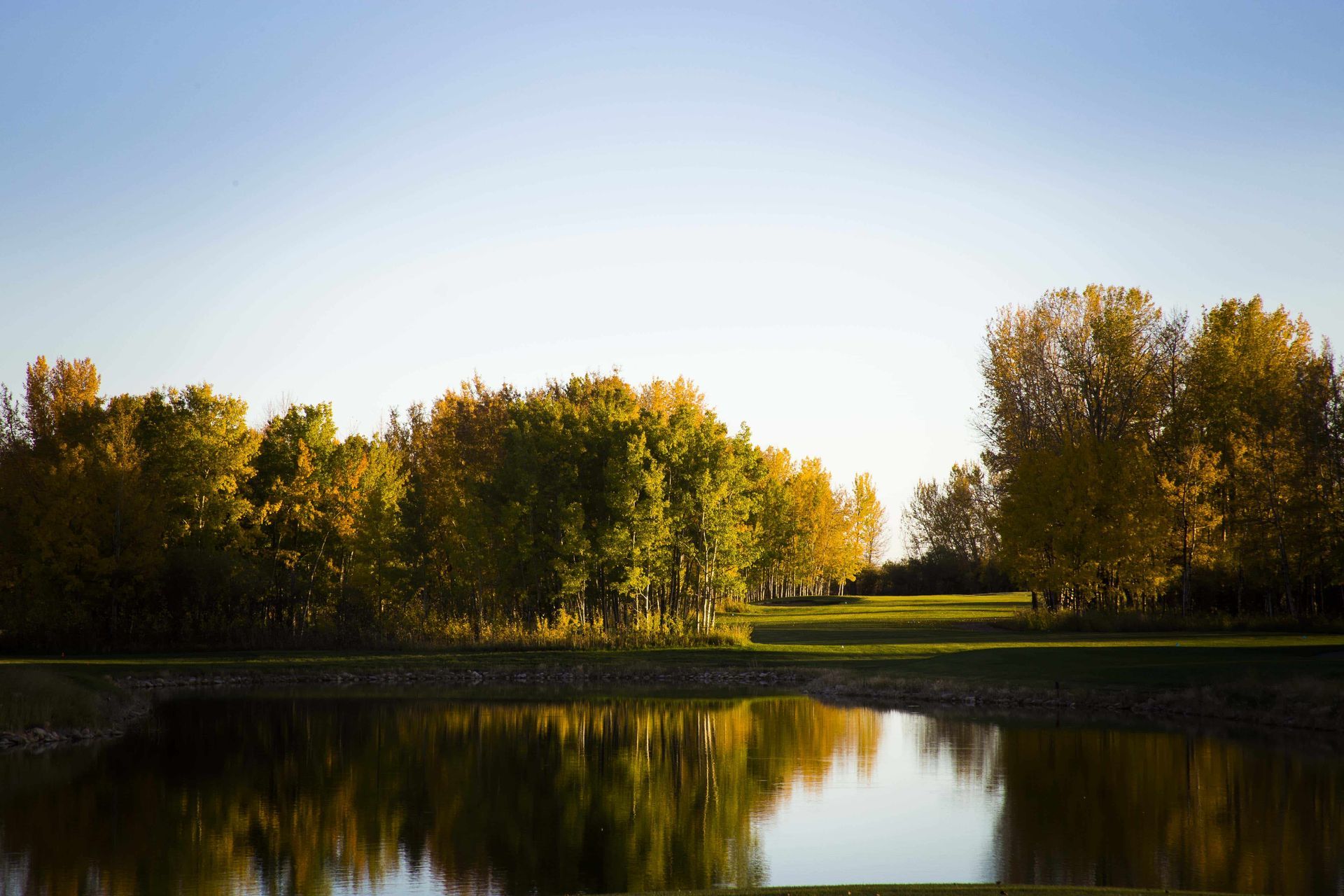 Pond reflecting fall trees with yellow and green leaves, under a blue sky.