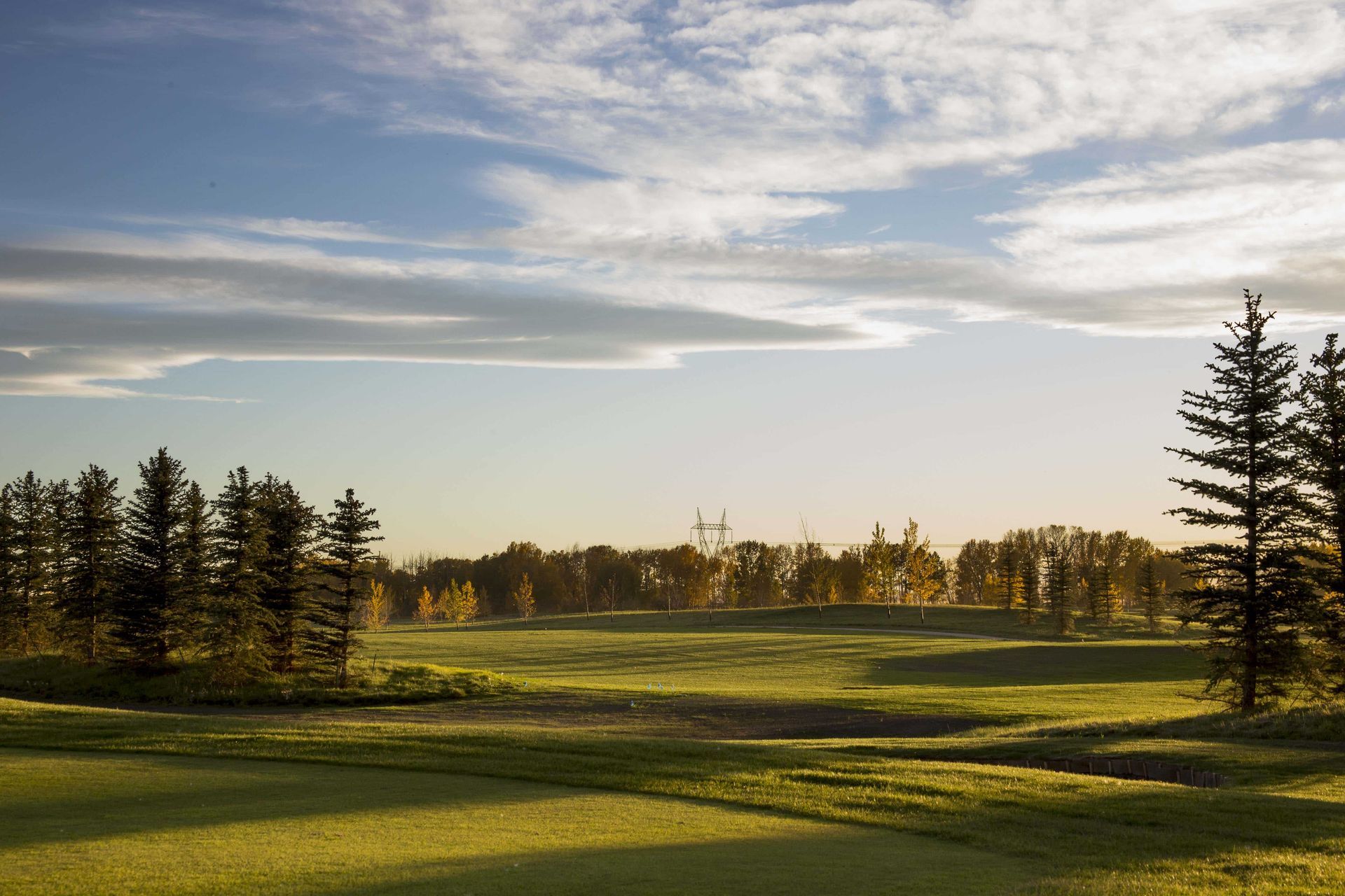 Green golf course under a blue sky with trees, the sun rising.