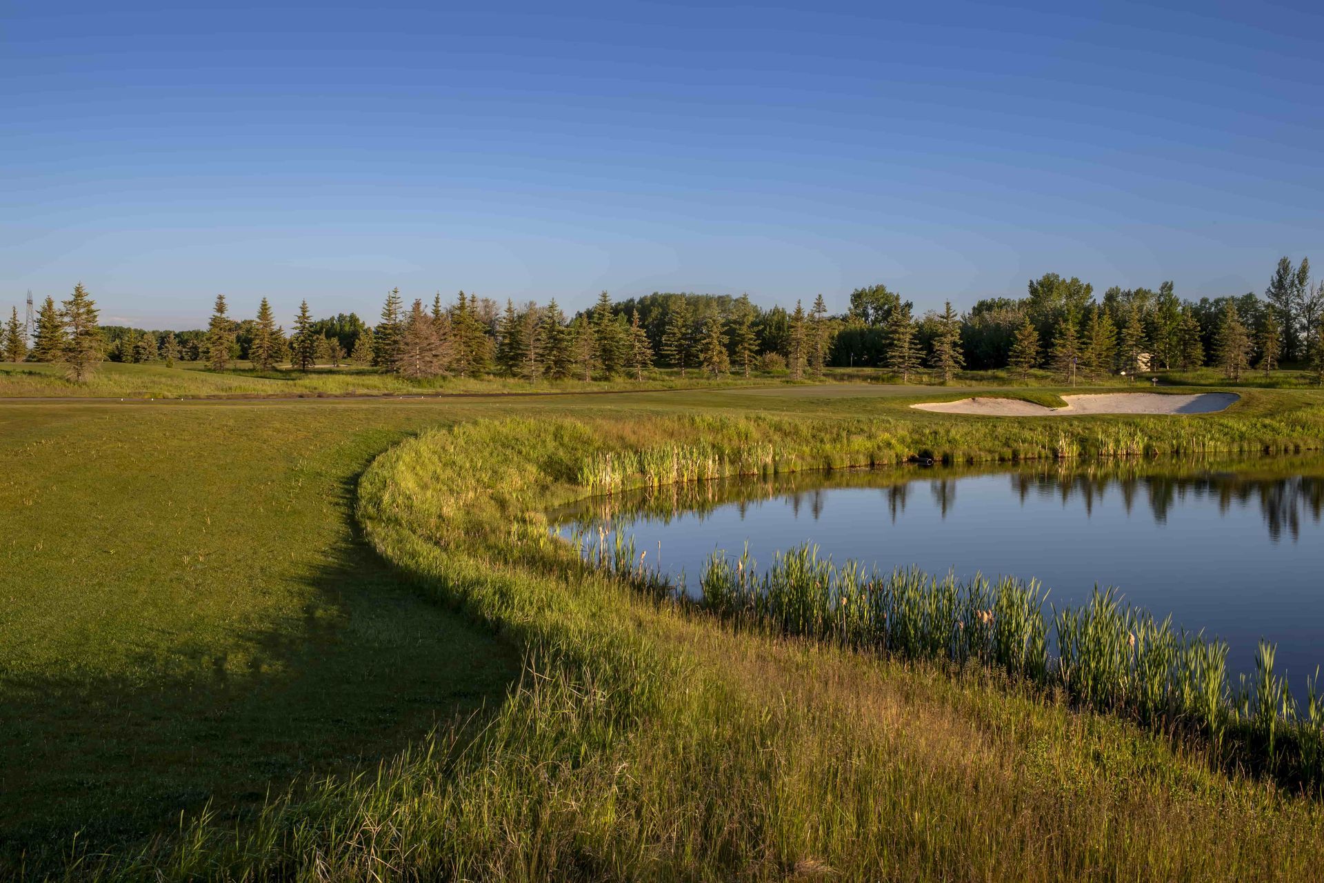 Golf course with pond and green grass under a clear blue sky.