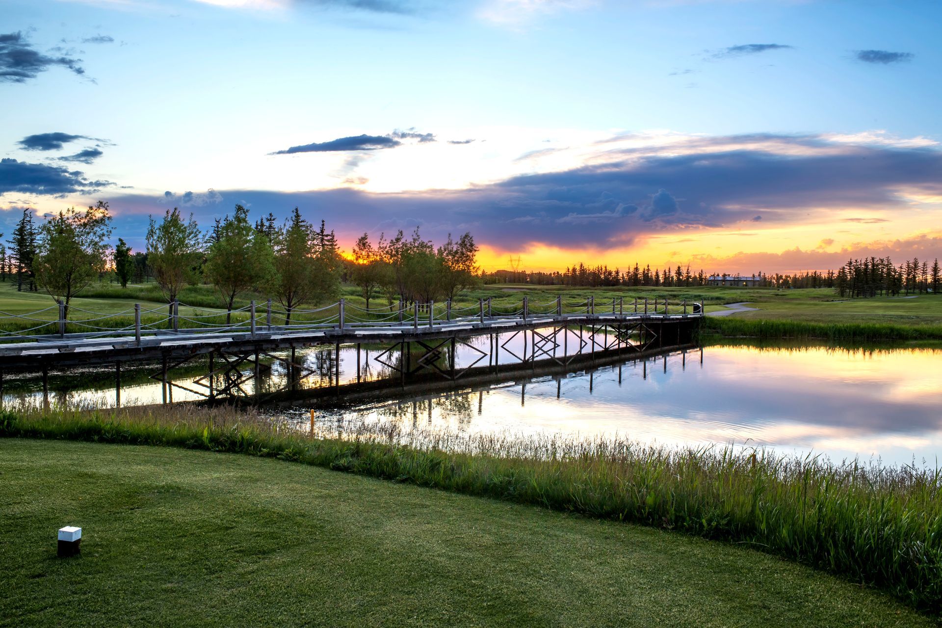 Golfers on a green fairway, golf carts nearby, trees and path along the edges, course in background.