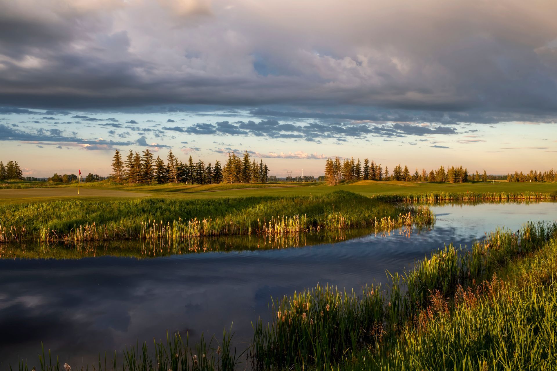 Person swinging a golf club on a green golf course, wearing a teal shirt and shorts.