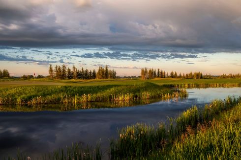 Person swinging a golf club on a green golf course, wearing a teal shirt and shorts.