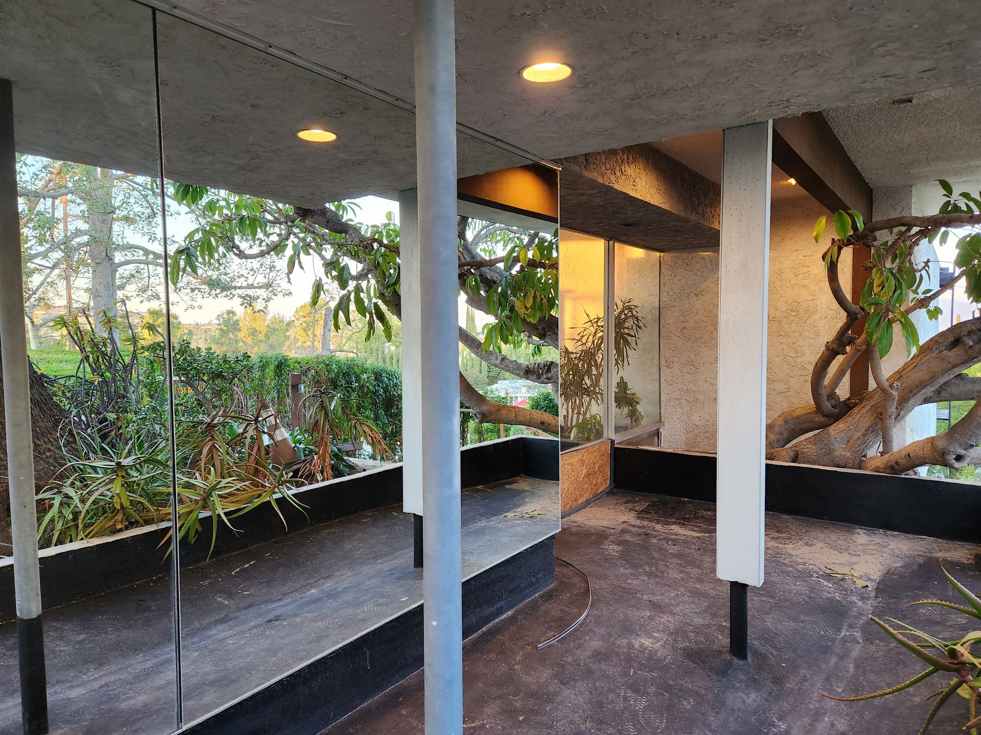 A room with a lot of mirrors and a tree in the background