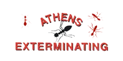 Athens Exterminating Athens Exterminating