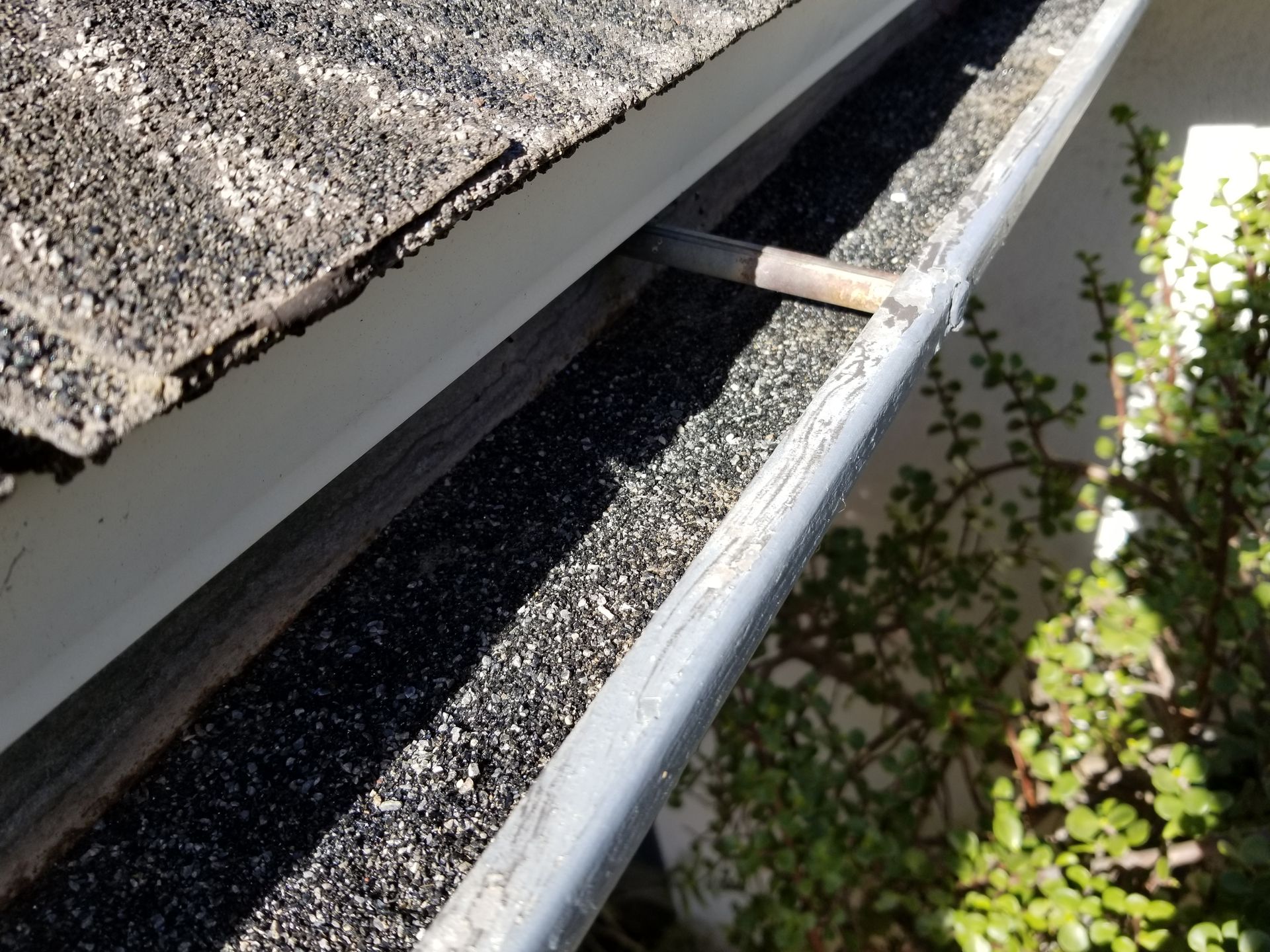 A close up of a gutter on a roof next to a tree.